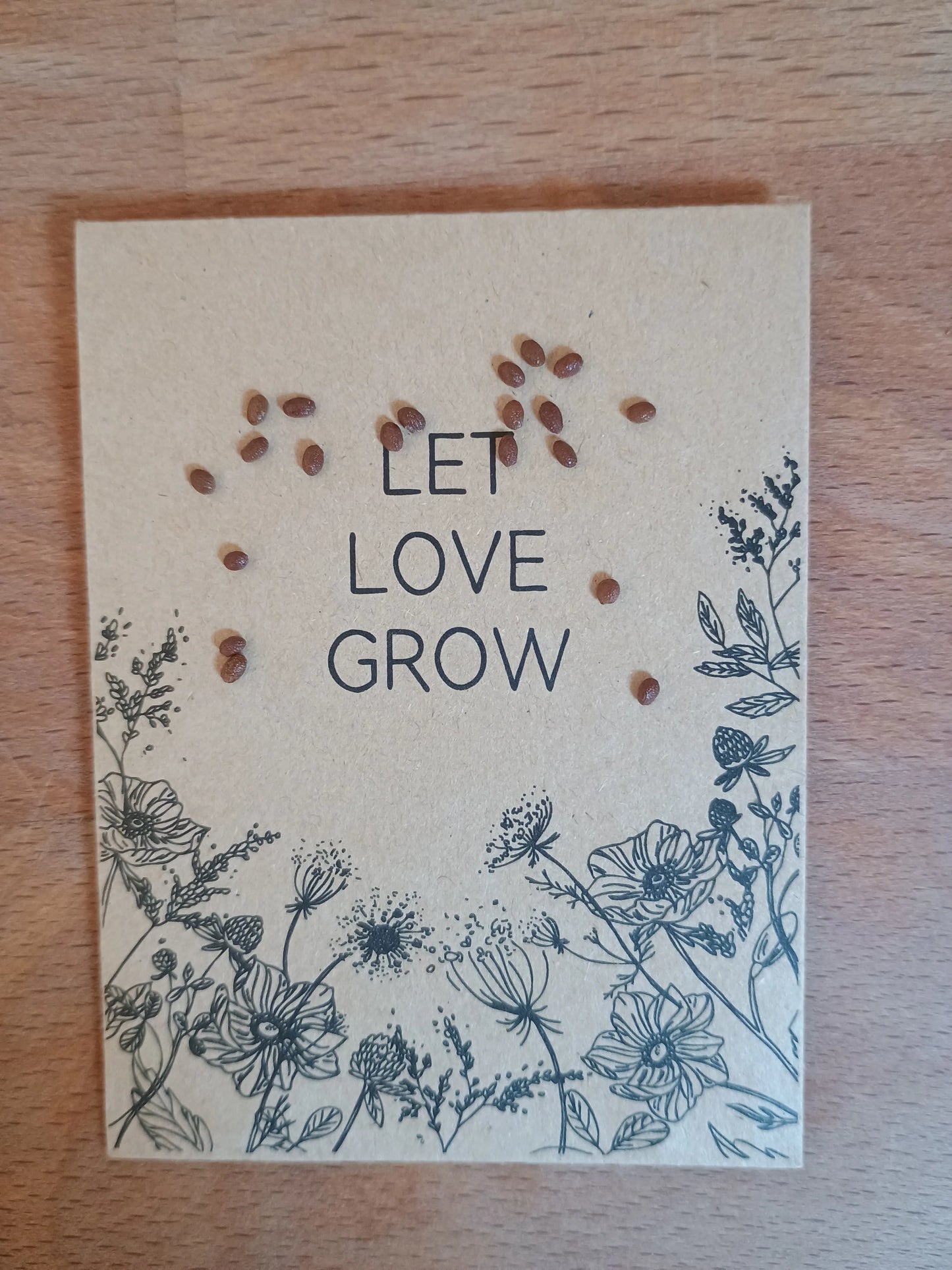 Golden Kiwi Samenpackung (Actinidia chinensis)