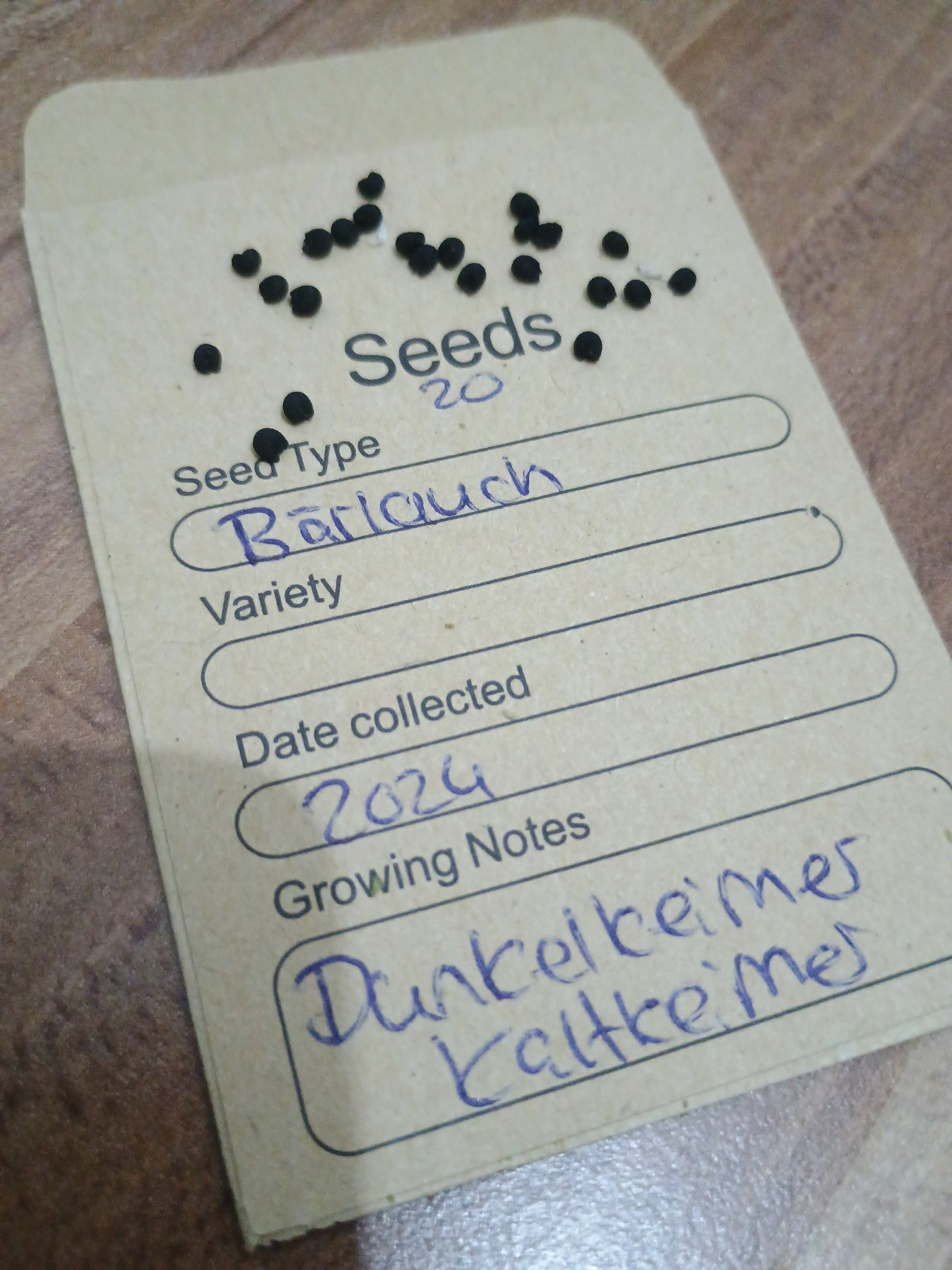 Bärlauch Samen (Allium ursinum) Samenpackung 20 Stück 