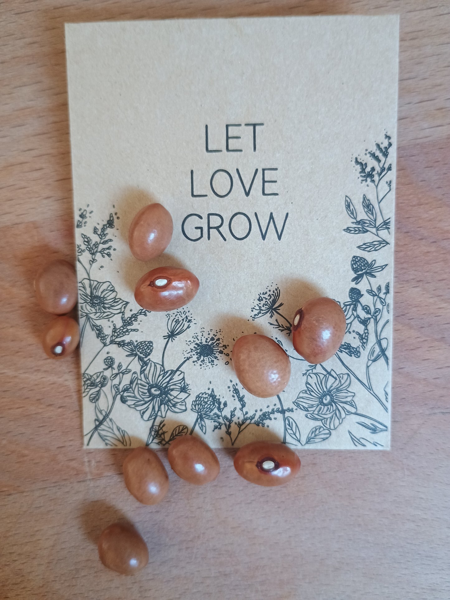 Mittelgroße, ovale, glänzend rote Bohnen-Samen