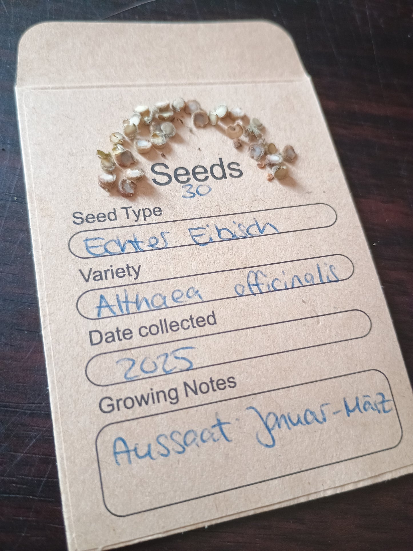 Kleine, scheibenförmige, braungraue Samen, in ringförmigen Fruchtständen, zur Aussaat geeignet.