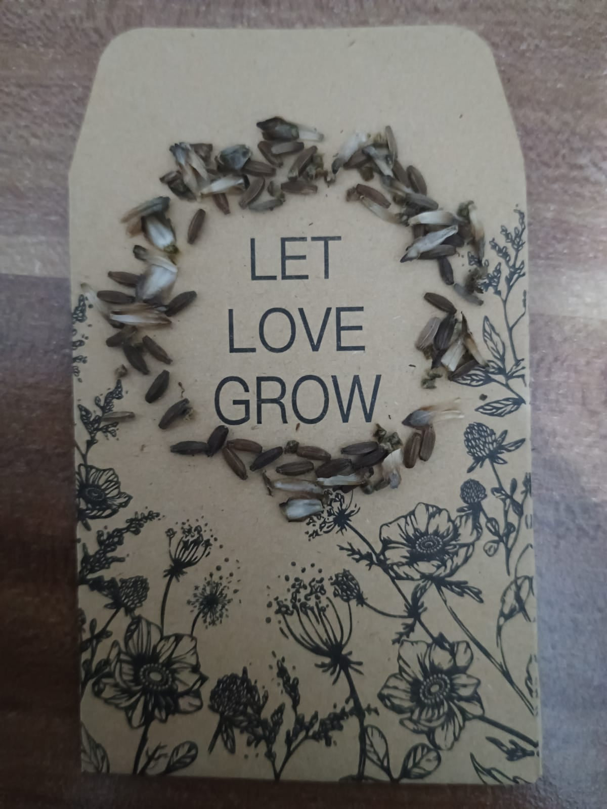 Kleine, längliche, graubraune Skabiosensamen