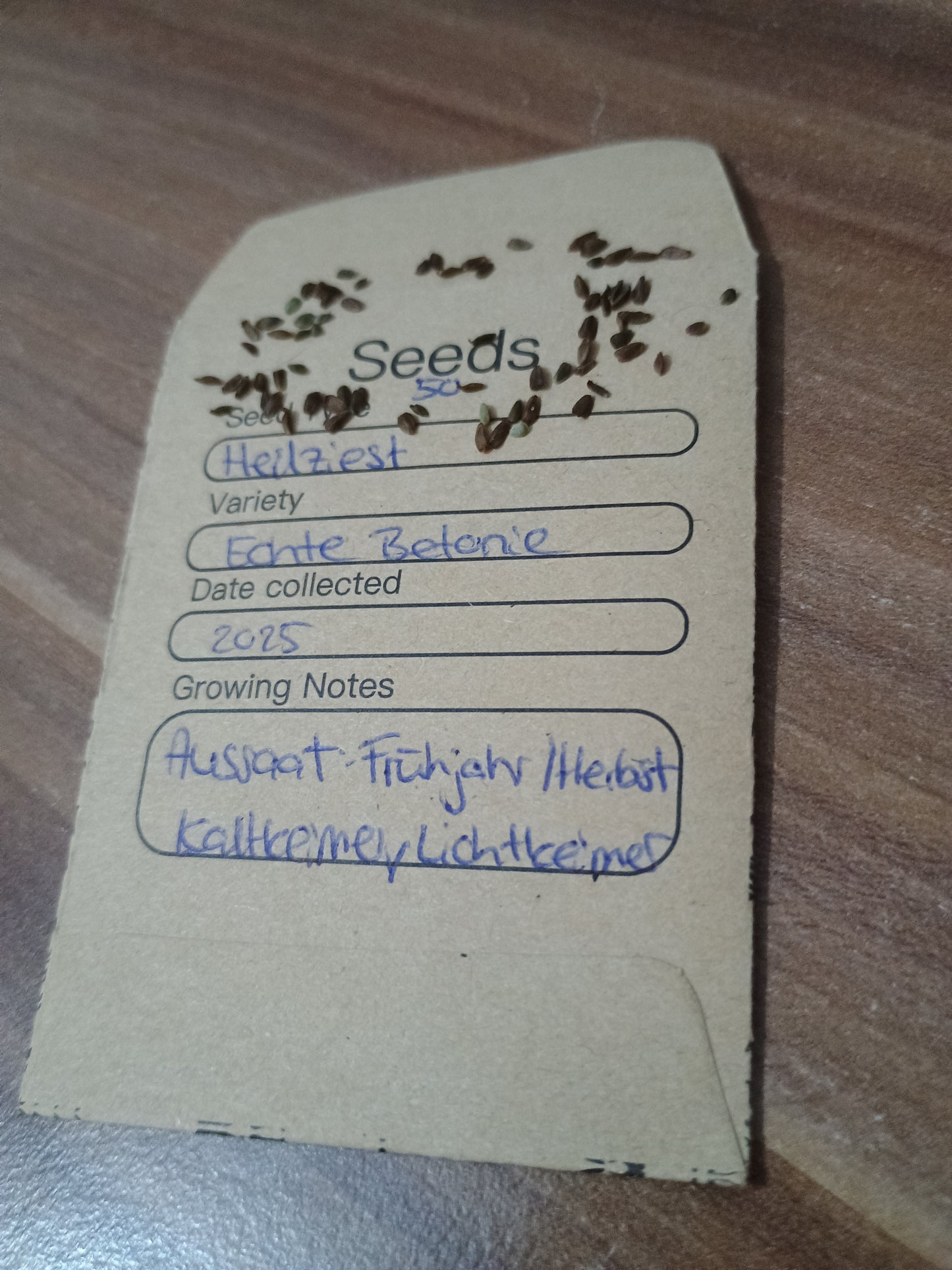 Kleine, rundlich-braune Heilziest-Samen