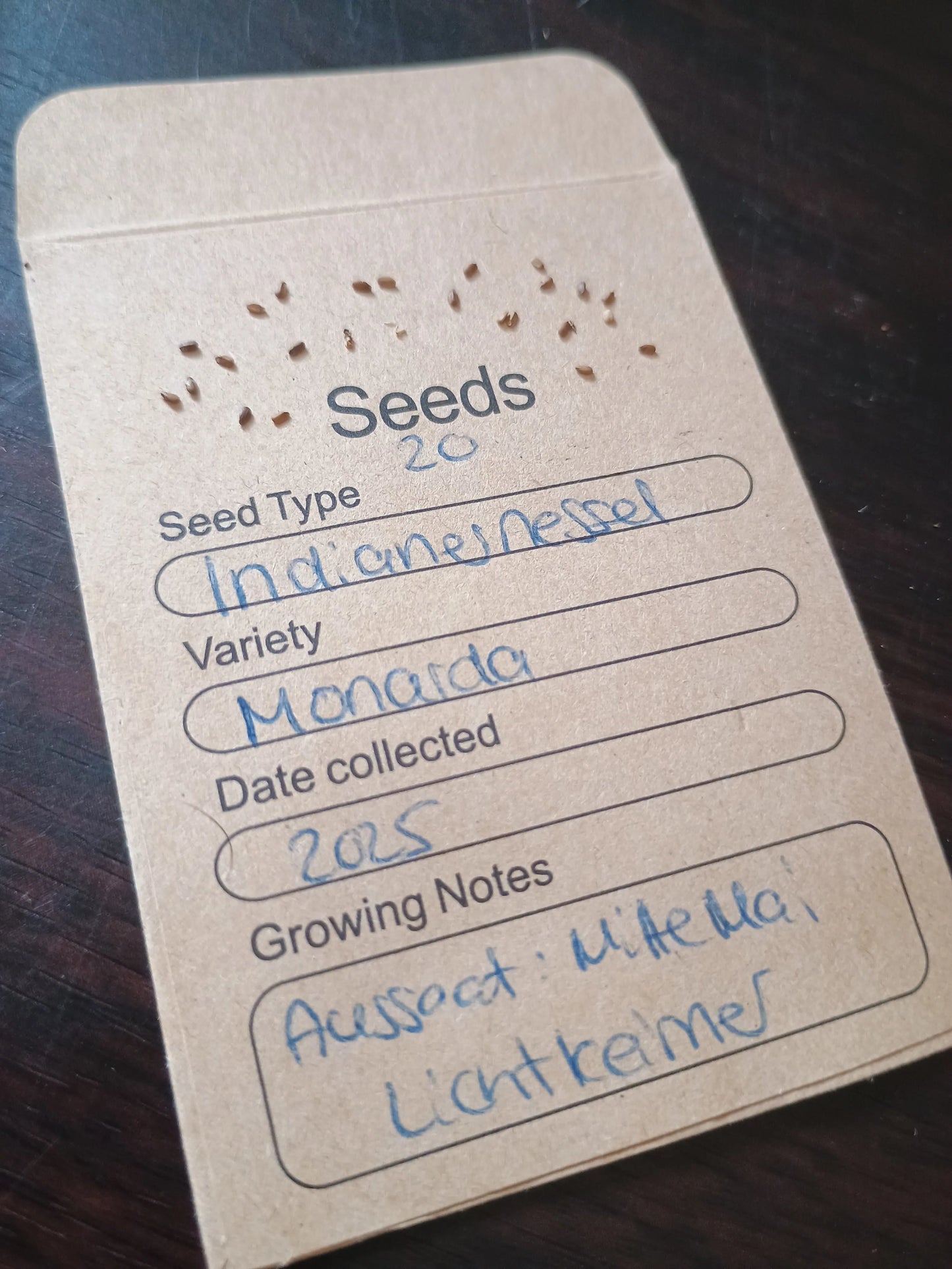 Indianernessel Samenpackung (Monarda didyma)