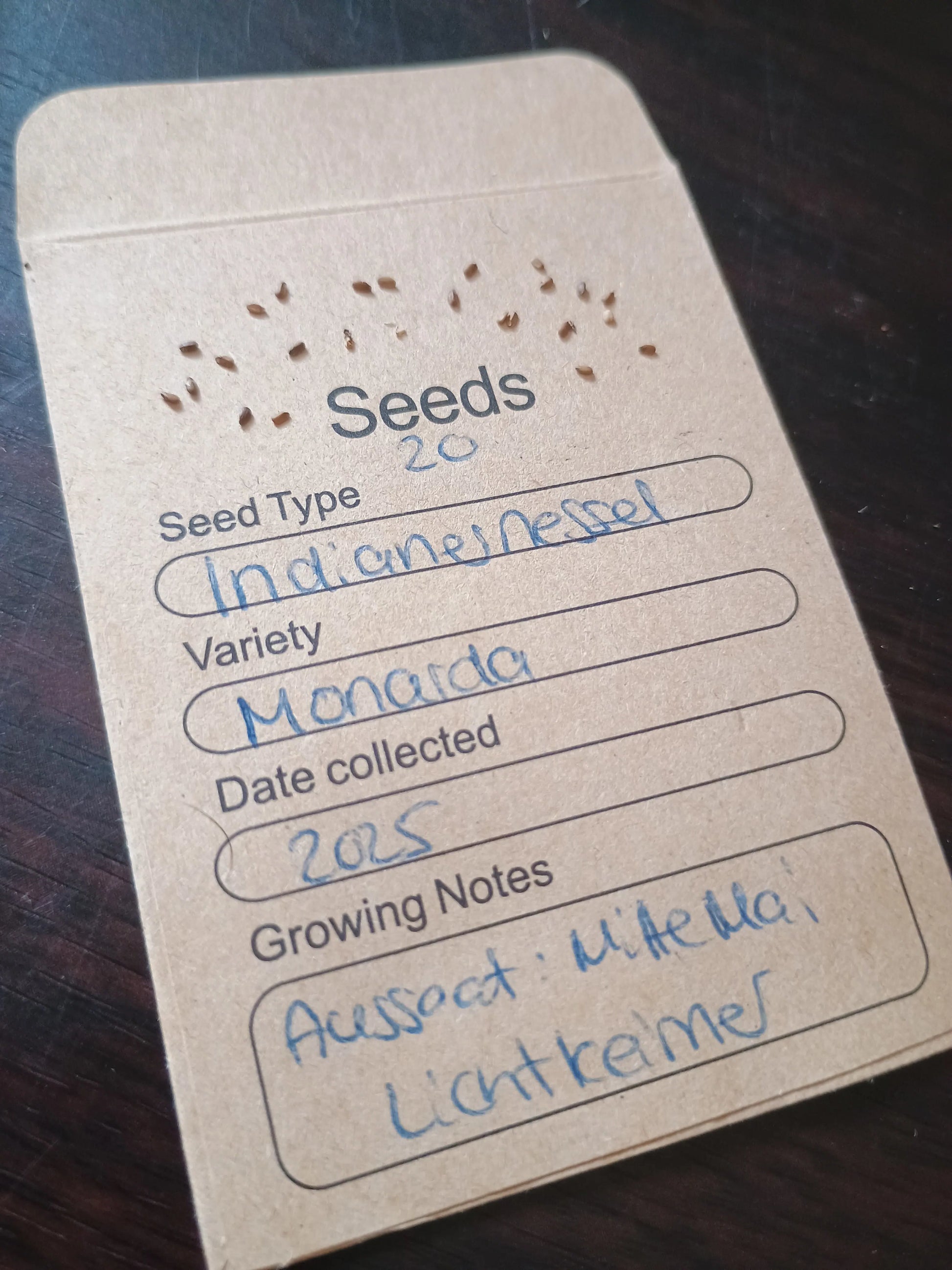 Indianernessel Samenpackung (Monarda didyma)