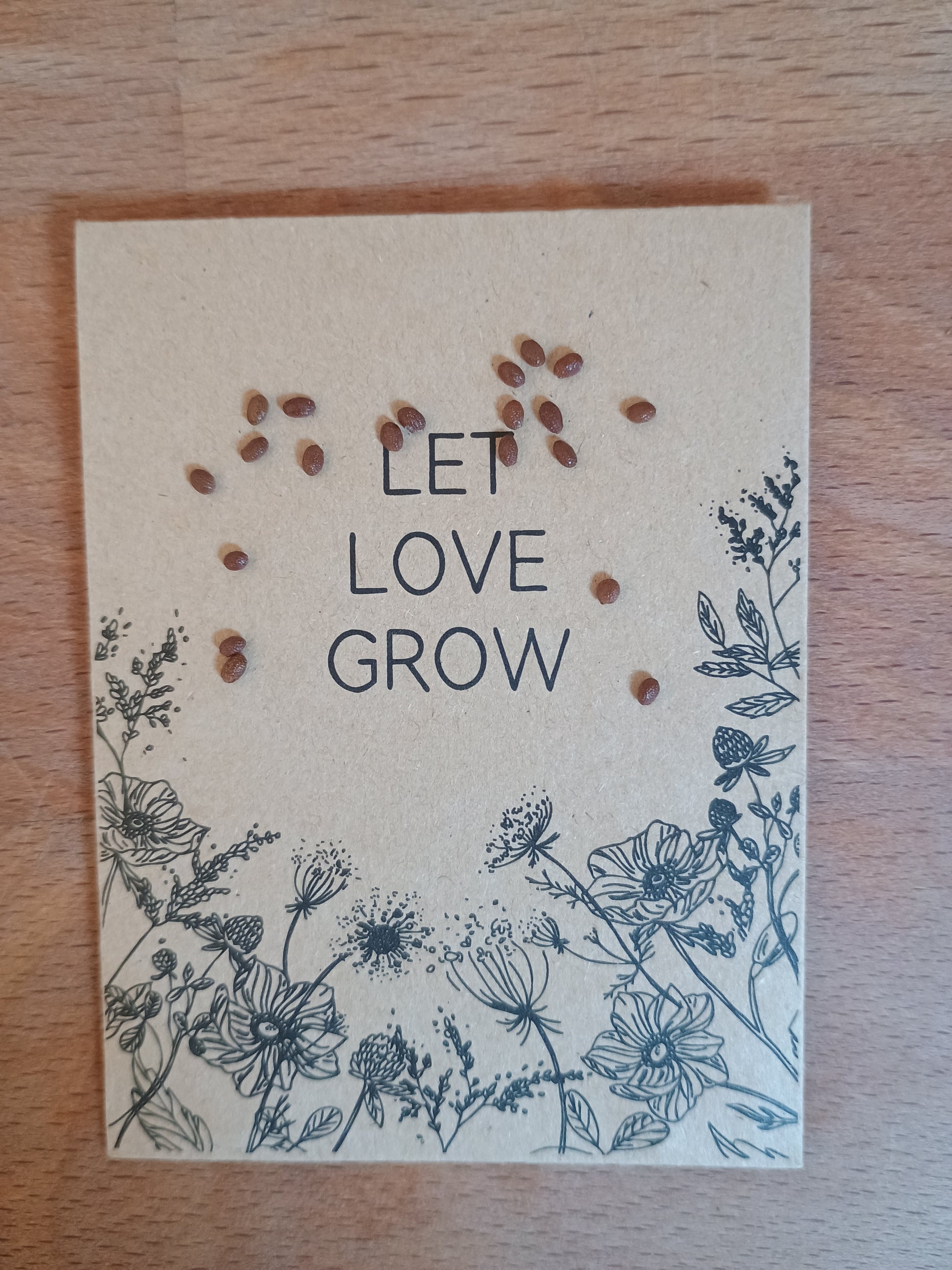 Kleine, schwarze, rundliche Samen aus der grünen Kiwi, eingebettet im Fruchtfleisch, keimfähig und zur Aussaat für neue Pflanzen geeignet.