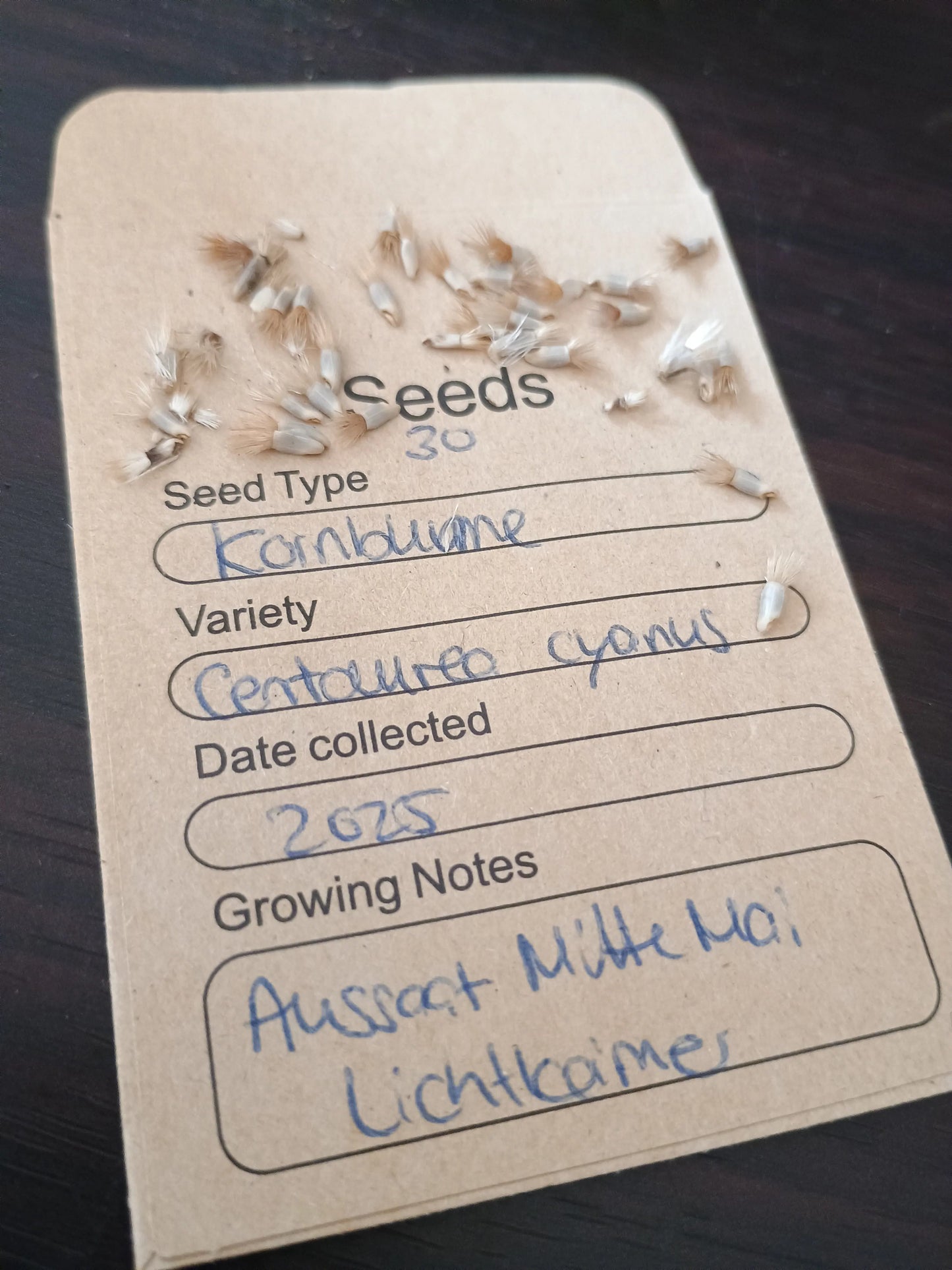 Kornblume Samenpackung (Centaurea cyanus) 