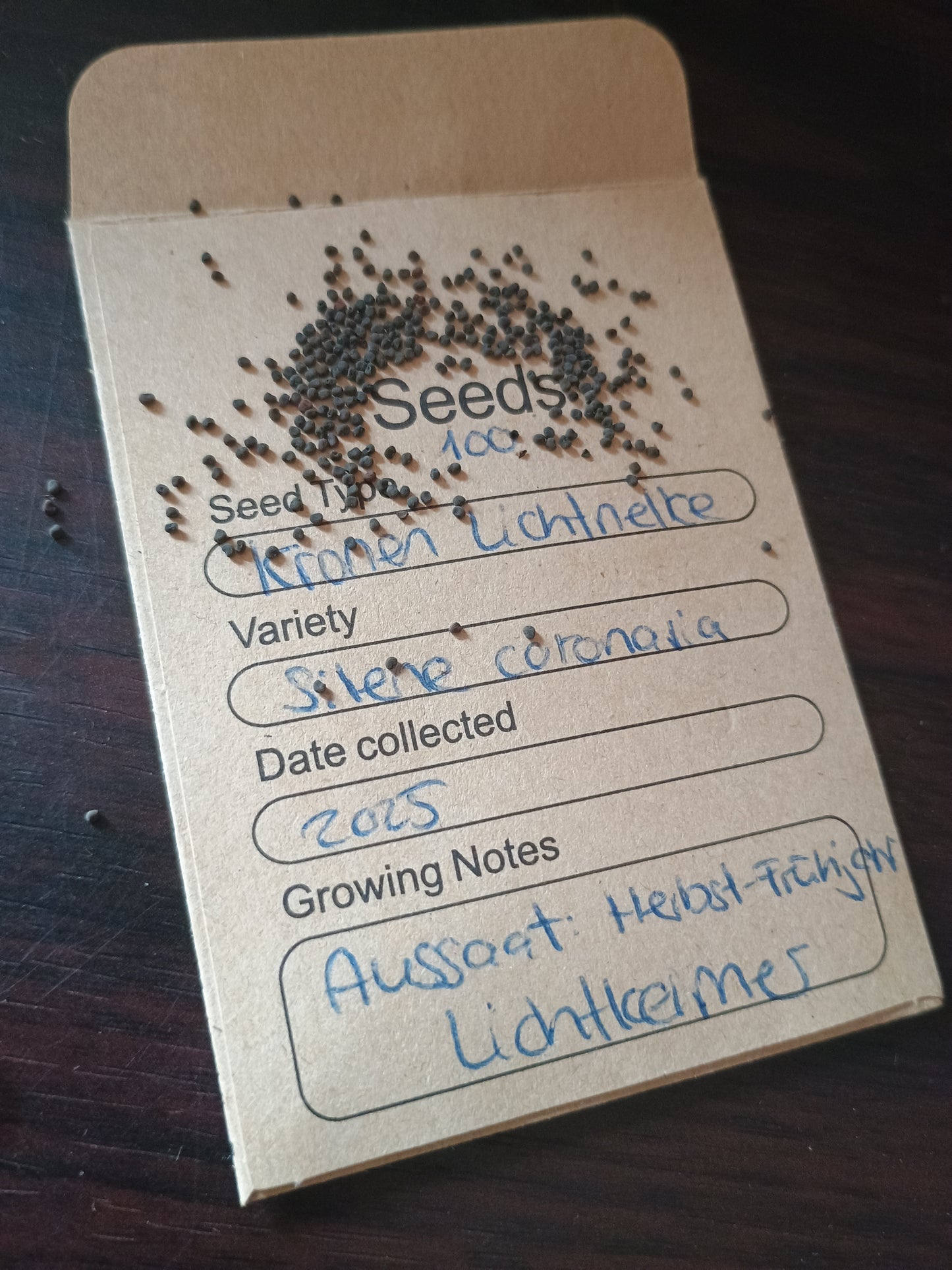 Kleine, braune, rundliche Lichtnelkensamen, in Kapselfrüchten,