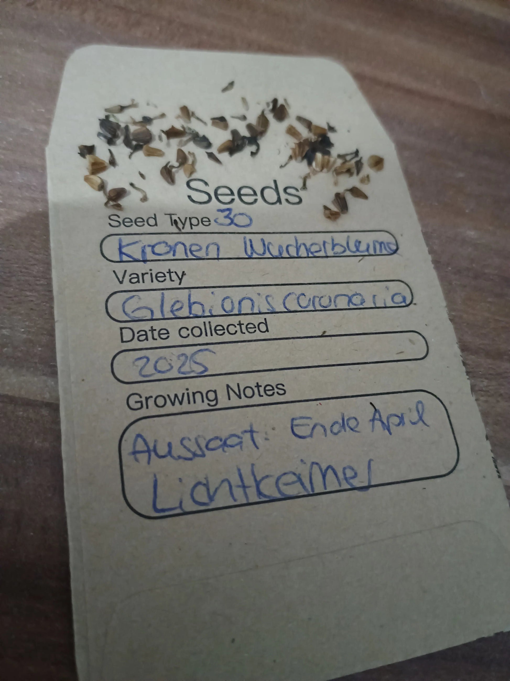 Kronenwucherblume Samenpackung (Glebionis coronaria)