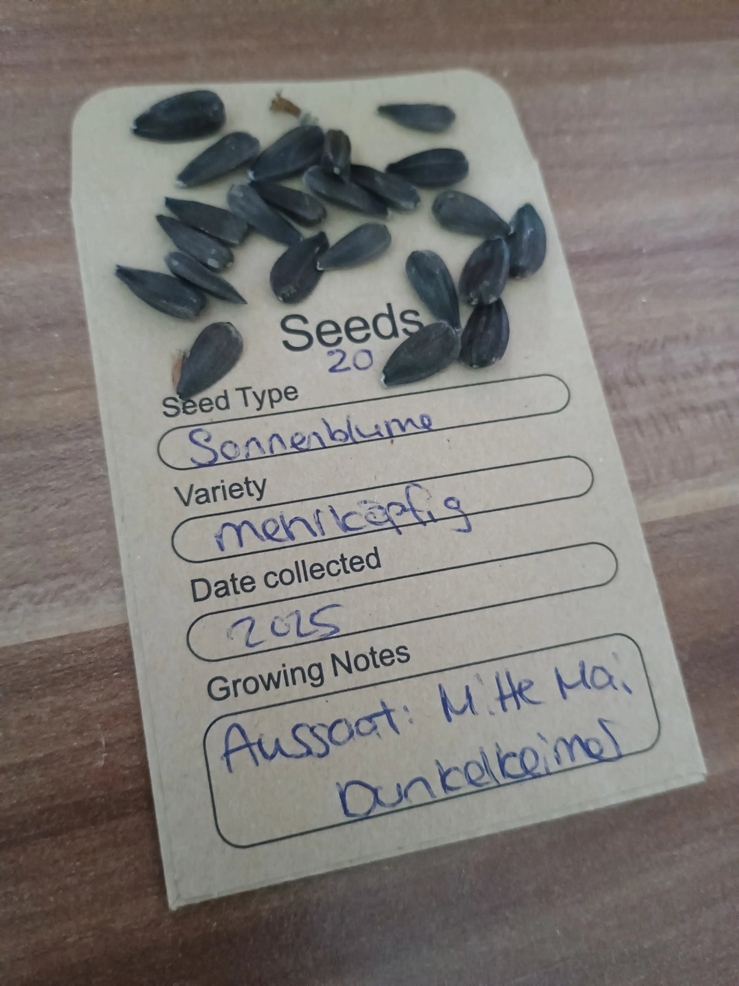 Mehrköpfige Sonnenblume Samenpackung (Helianthus annuus) 