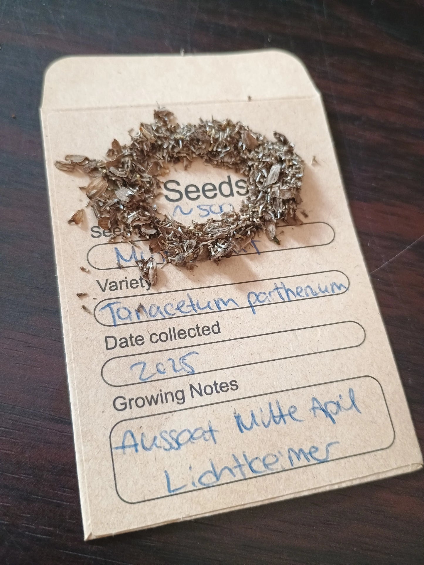 Mutterkraut Samenpackung (Tanacetum parthenium) 