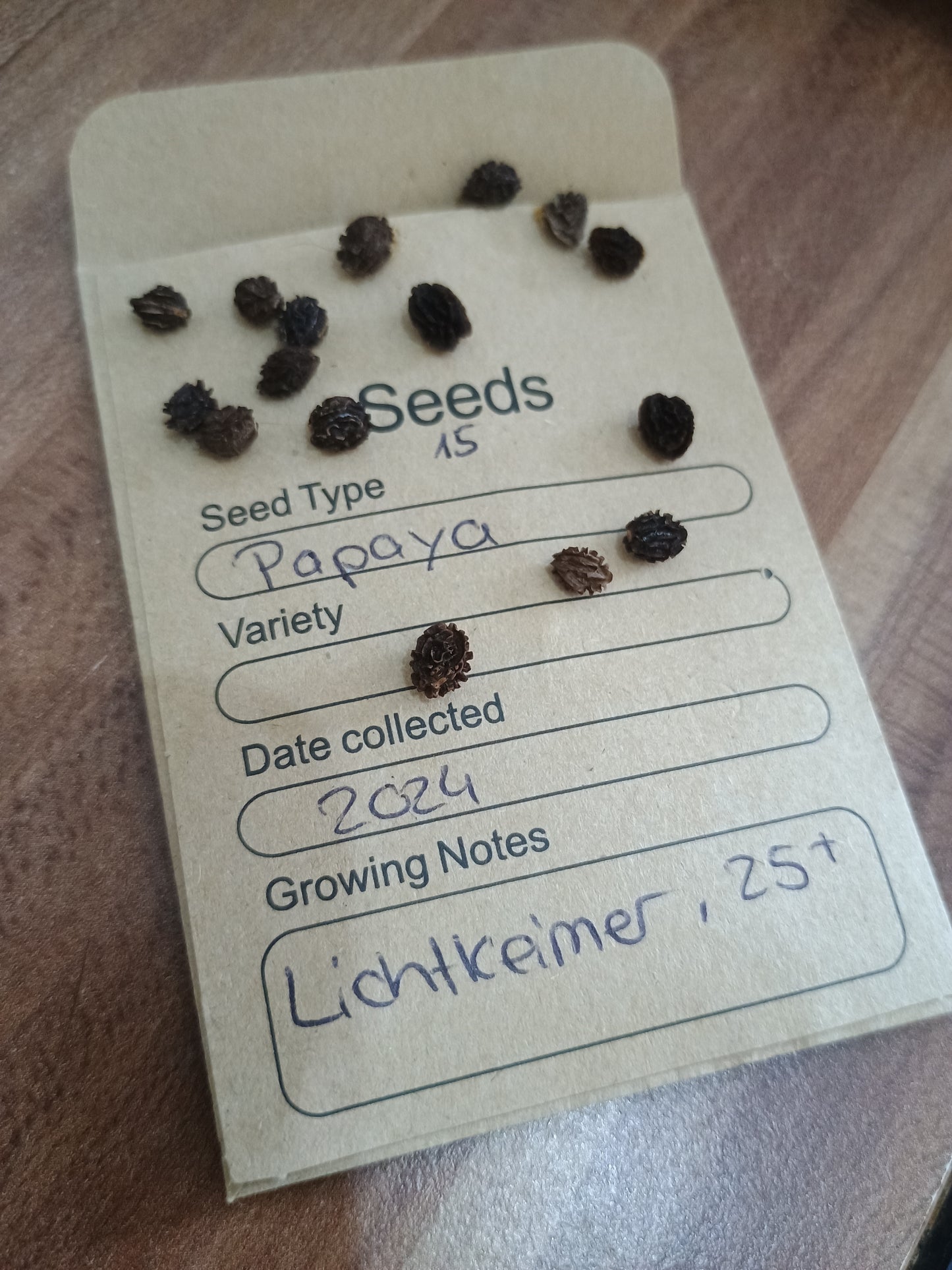 Runde, schwarz glänzende Papayasamen, in der Frucht, keimfähig und für den tropischen Anbau geeignet.