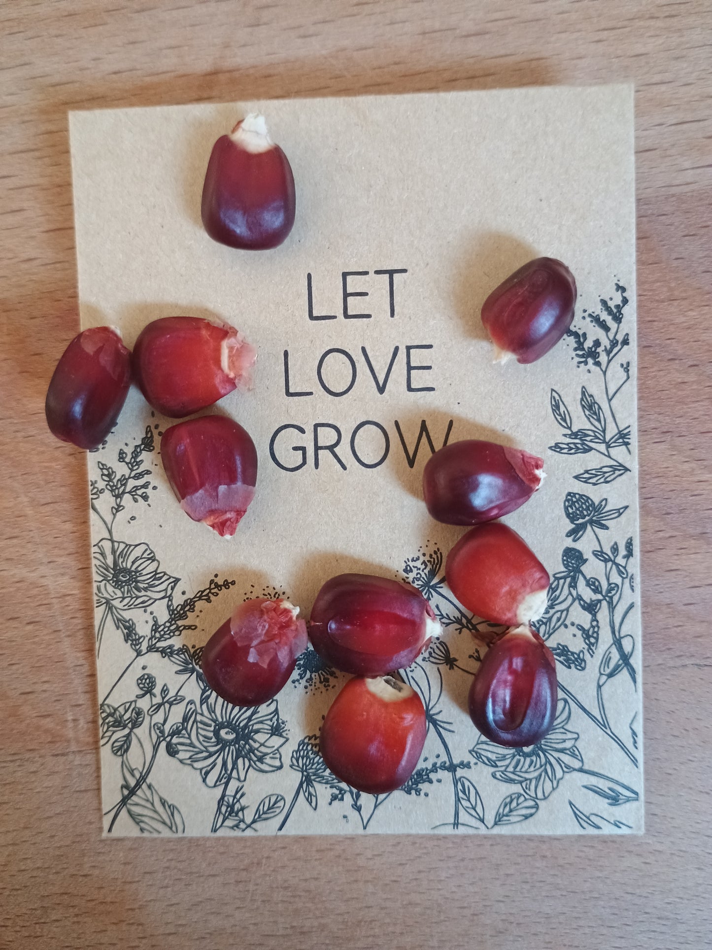 Rotbraune bis bordeauxfarbene Maissamen vom Roten Mais, fest, oval und für Aussaat und Dekozwecke geeignet.