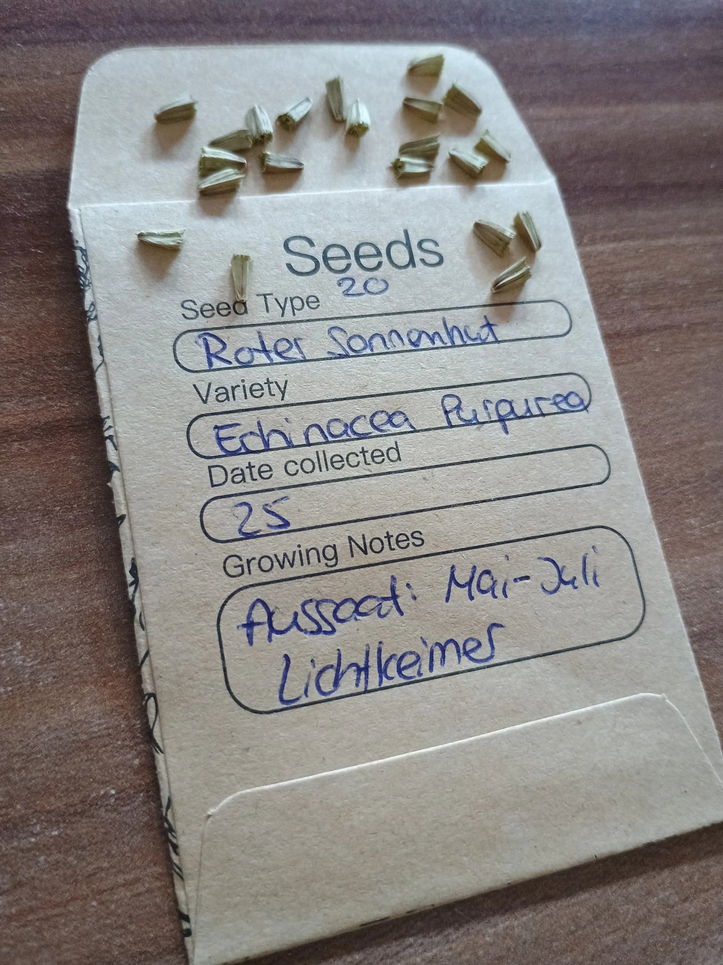 Roter Sonnenhut Samenpackung (Echinacea purpurea)