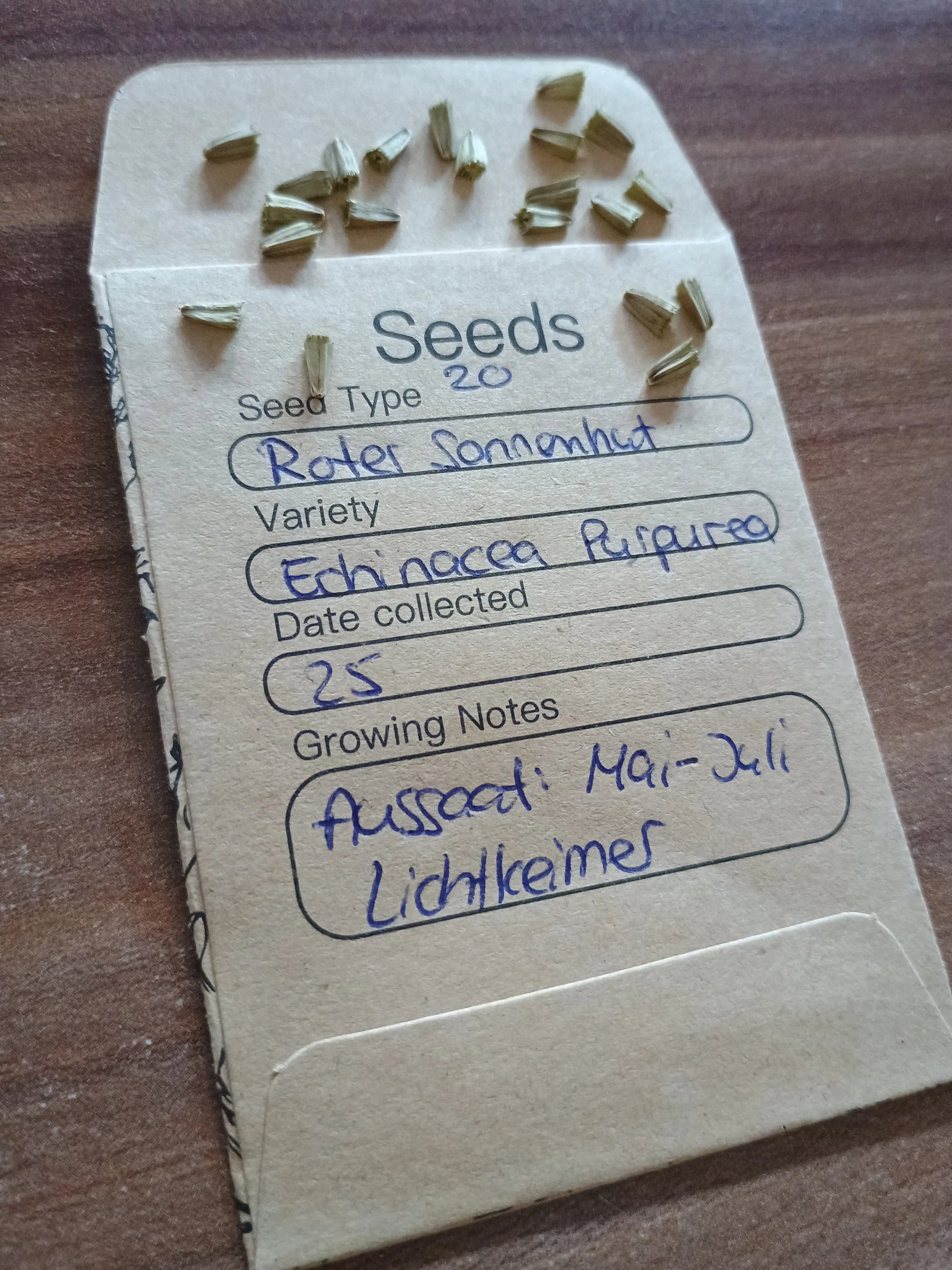 Roter Sonnenhut Samenpackung (Echinacea purpurea)