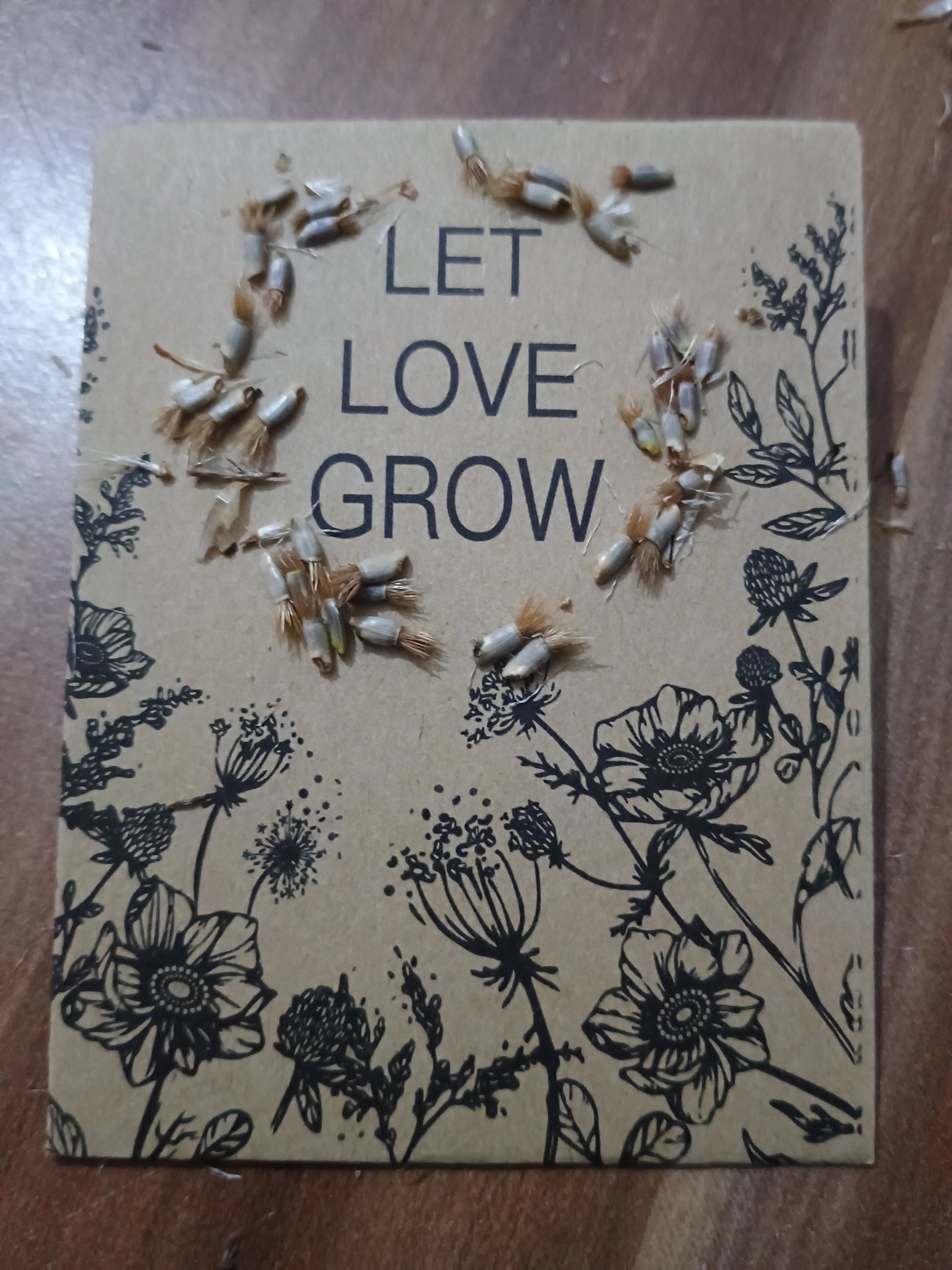 Samen der Kornblume auf Samenpackung 