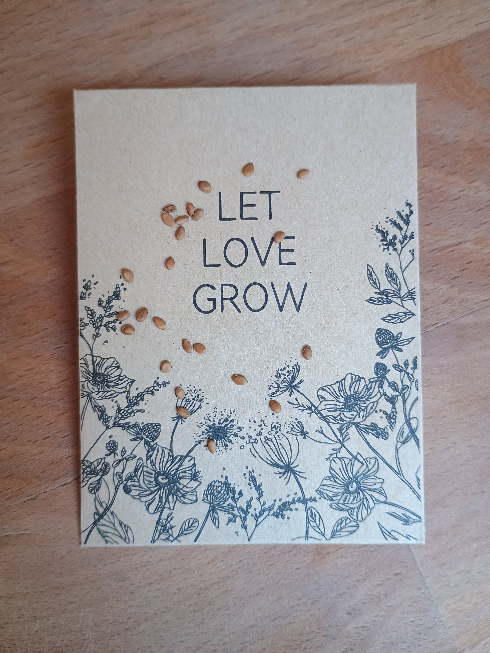 Kleine, braune Samen der Schwarzen Maulbeere (Morus nigra), oval geformt, in den Fruchtständen eingebettet, keimfähig und für die Vermehrung der Pflanze geeignet.