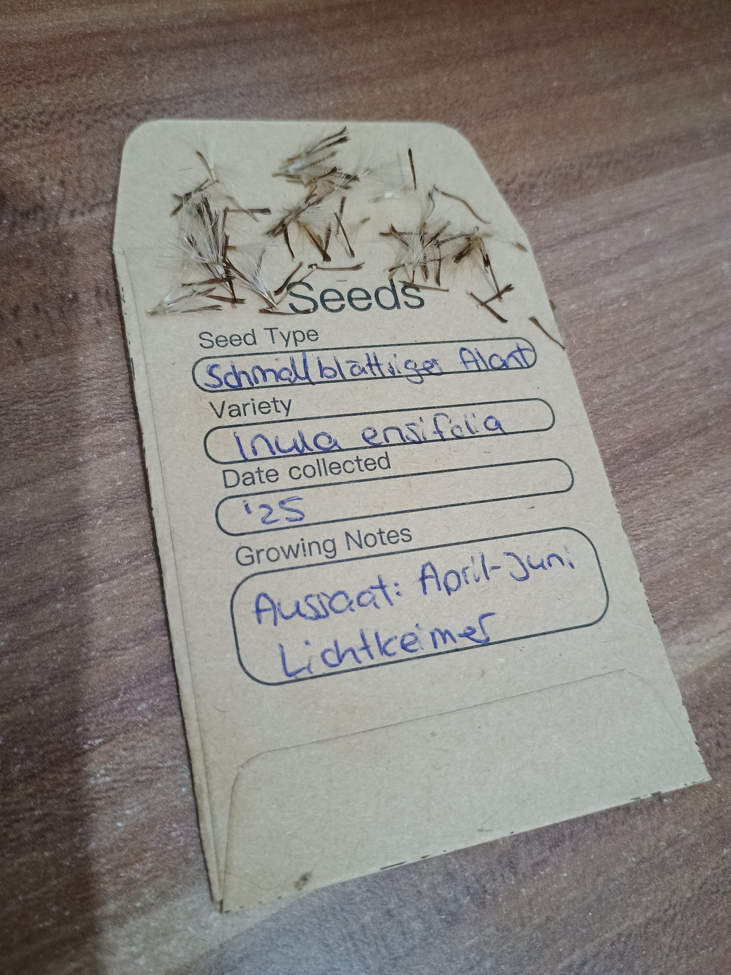 Feine, längliche, hellbraune Samen mit kleinen Flughaaren, in Kapselfrüchten, zur Aussaat geeignet.