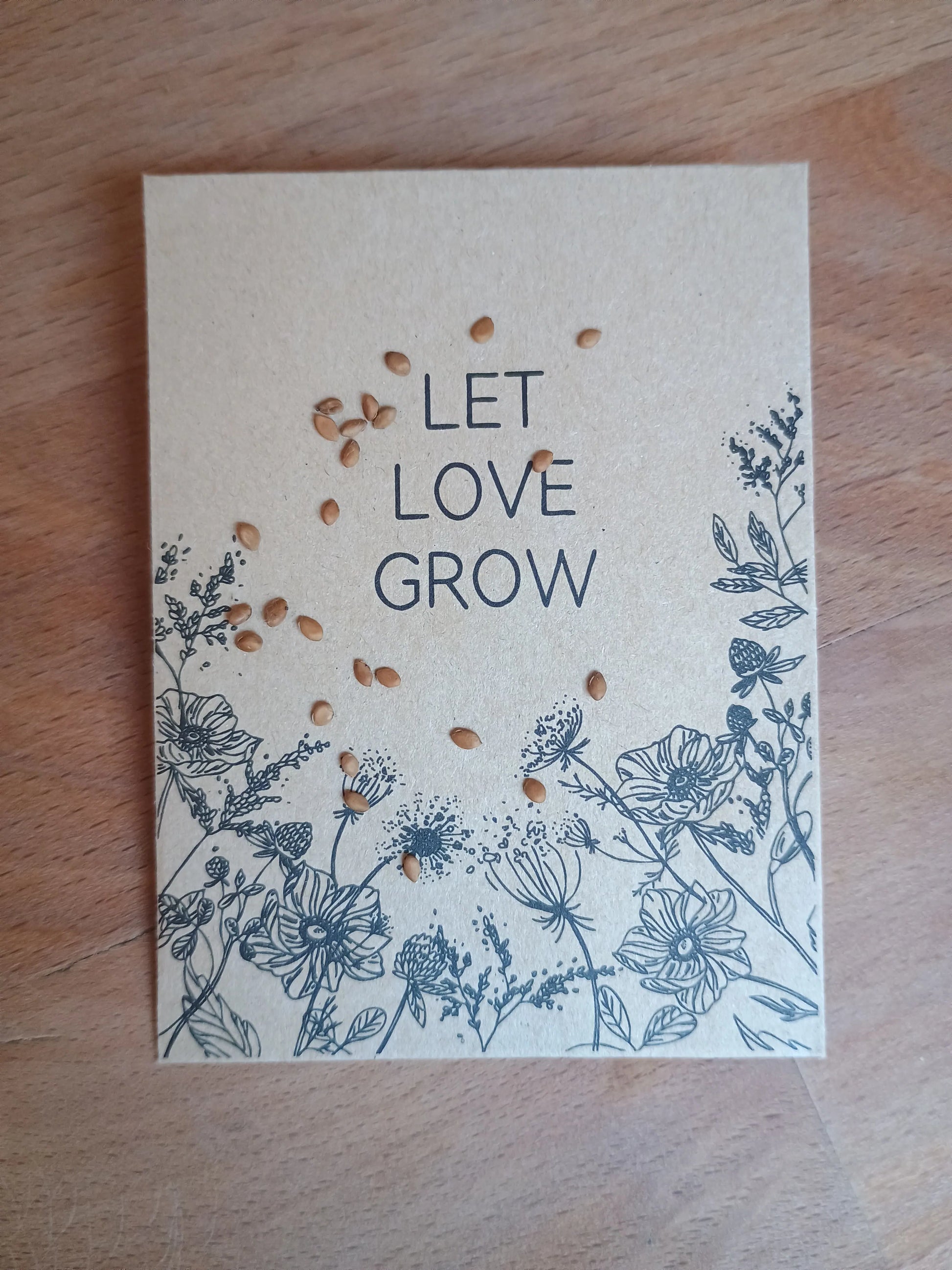 Schwarze Maulbeere Samenpackung (Morus nigra)