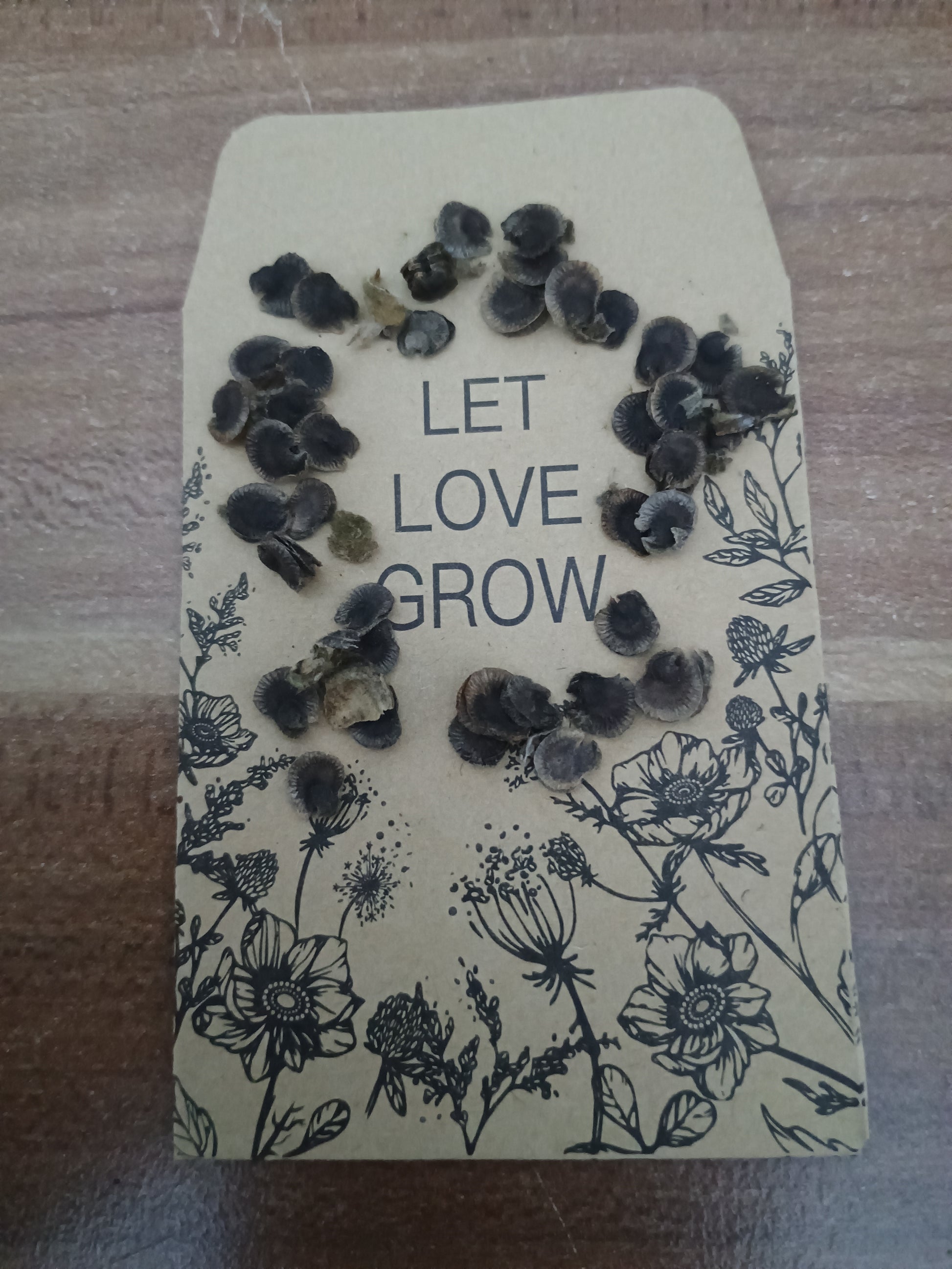 Rundliche, bräunliche, flache Stockrosensamen in tellerförmigen Fruchtständen, keimfähig und winterhart.