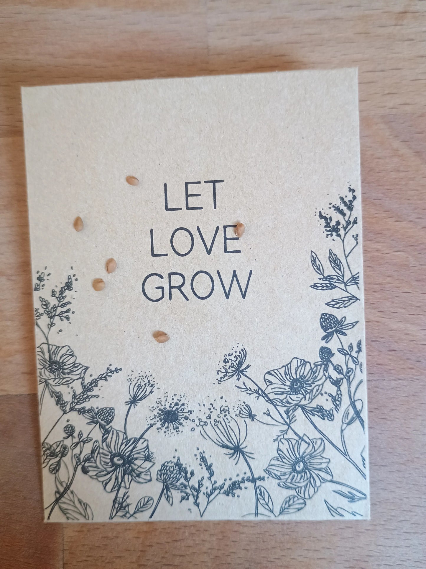 Weiße Maulbeere Samenpackung (Morus alba)