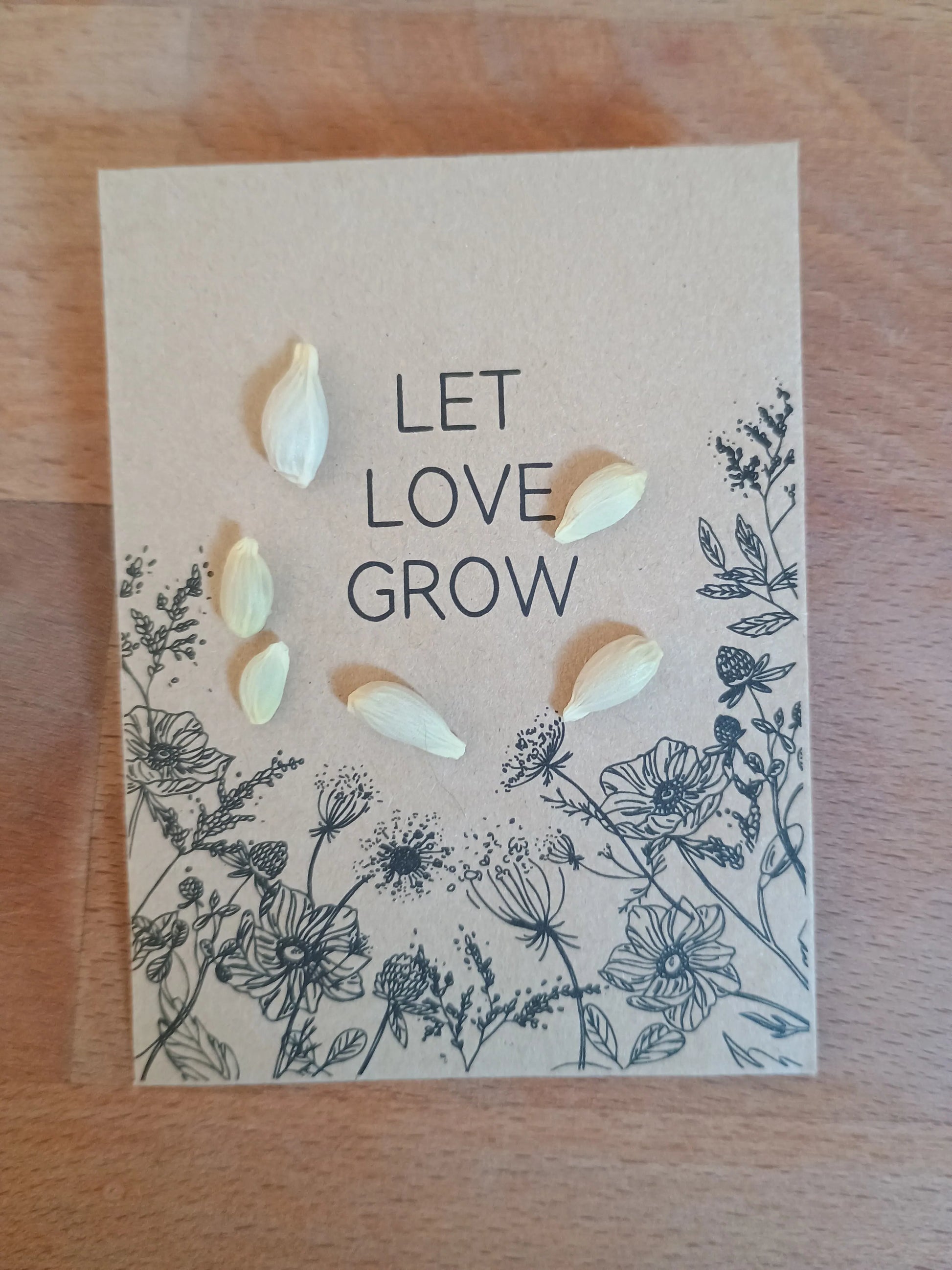 Zitrone Fino Samenpackung (Citrus limon 'Fino')