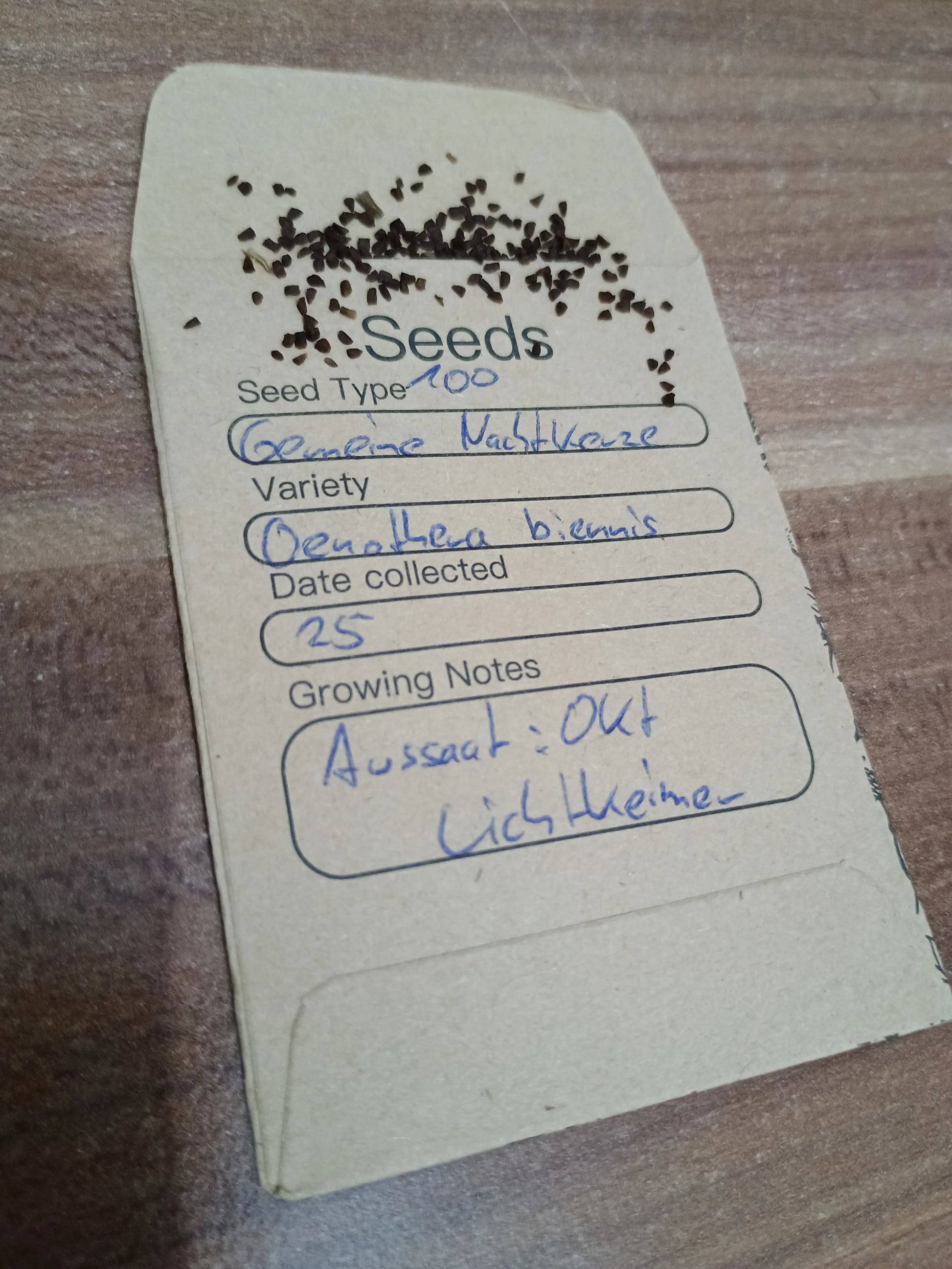 Gemeine Nachtkerze Samenpackung Oenothera biennis kaufen – gelbe duftende Wildblume Aussaat