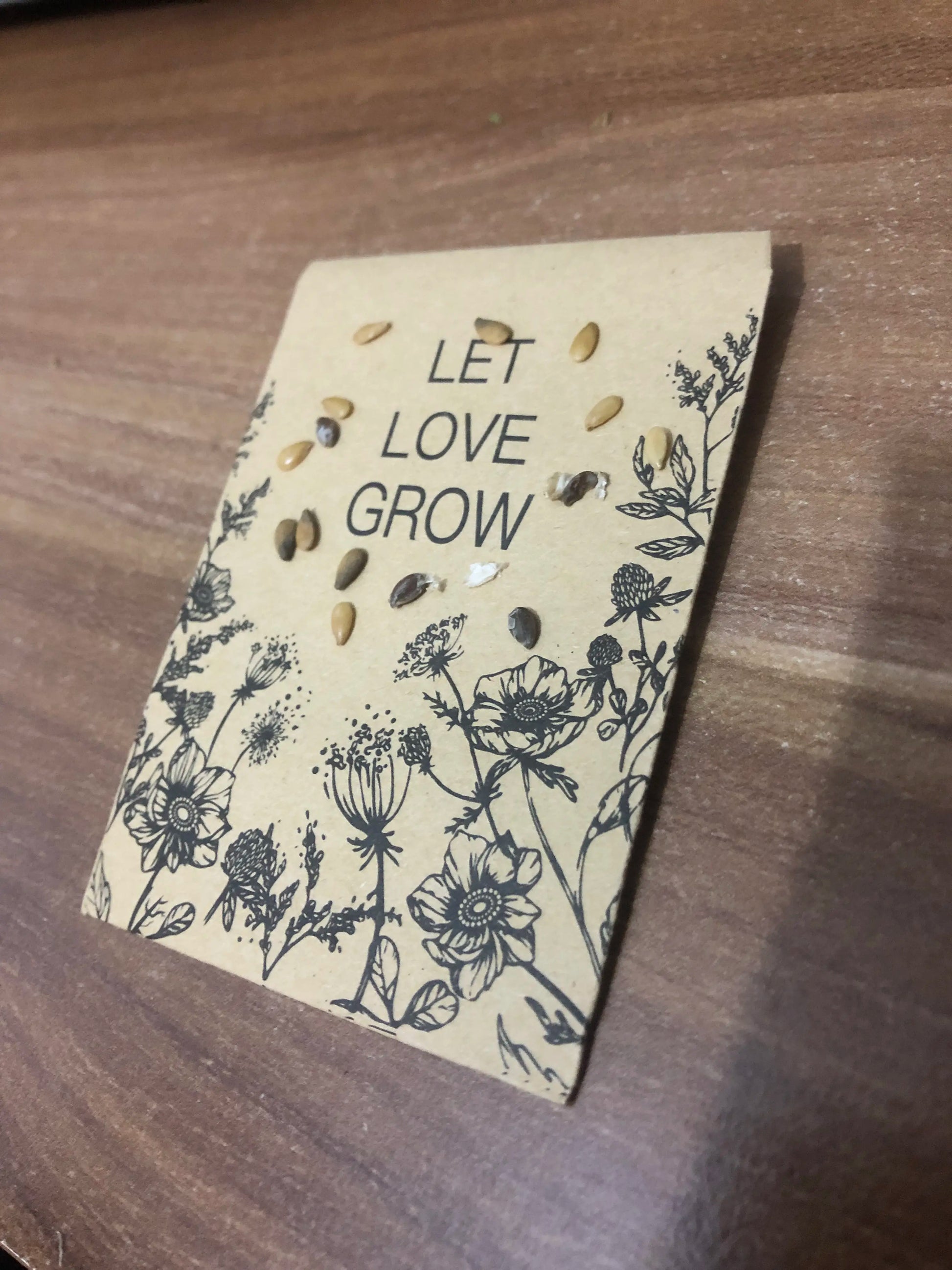 Gemeiner Lein Flachs Samenpackung Linum usitatissimum kaufen – hellblaue Blüten Naturgarten