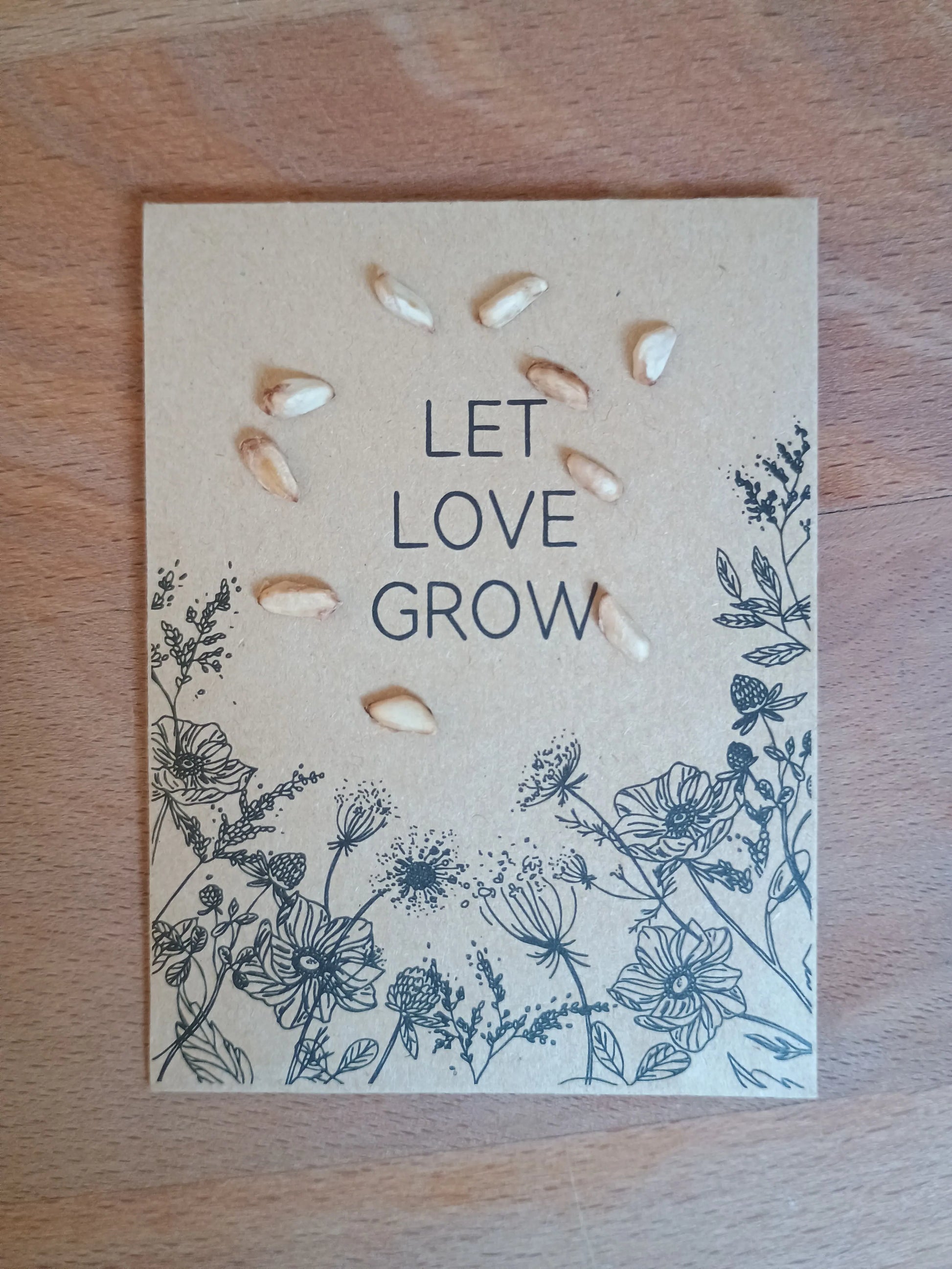 Granatapfel Samenpackung Punica granatum kaufen – exotischer Strauch mit roten Blüten